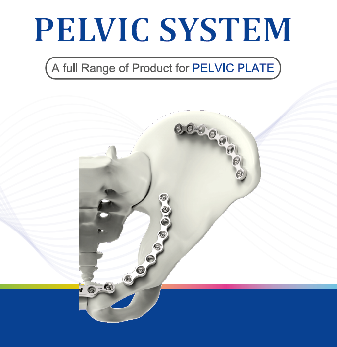 Pelvic System_R1-03-01-2026