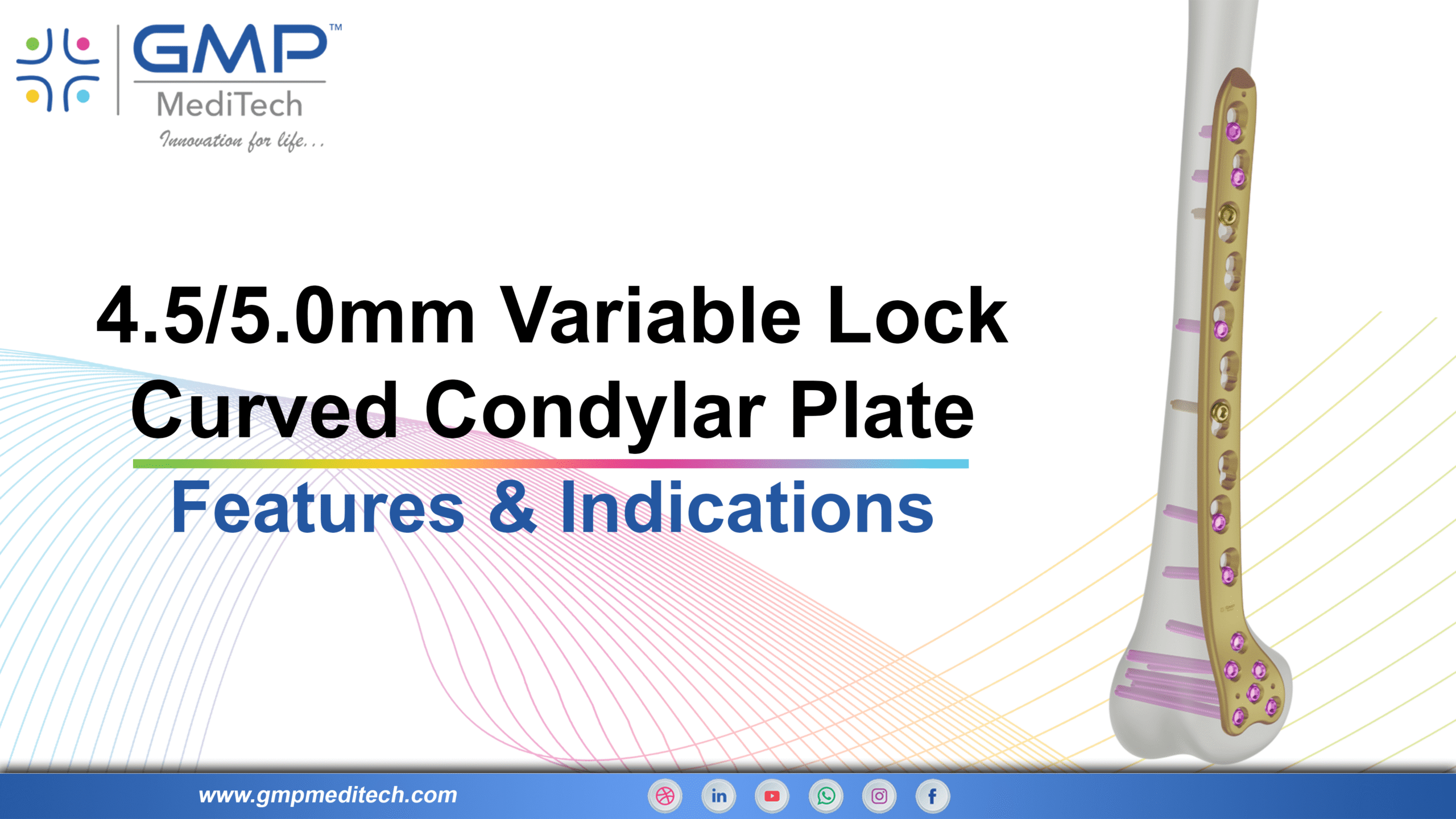 Variable Angle Curved Condylar Femur System