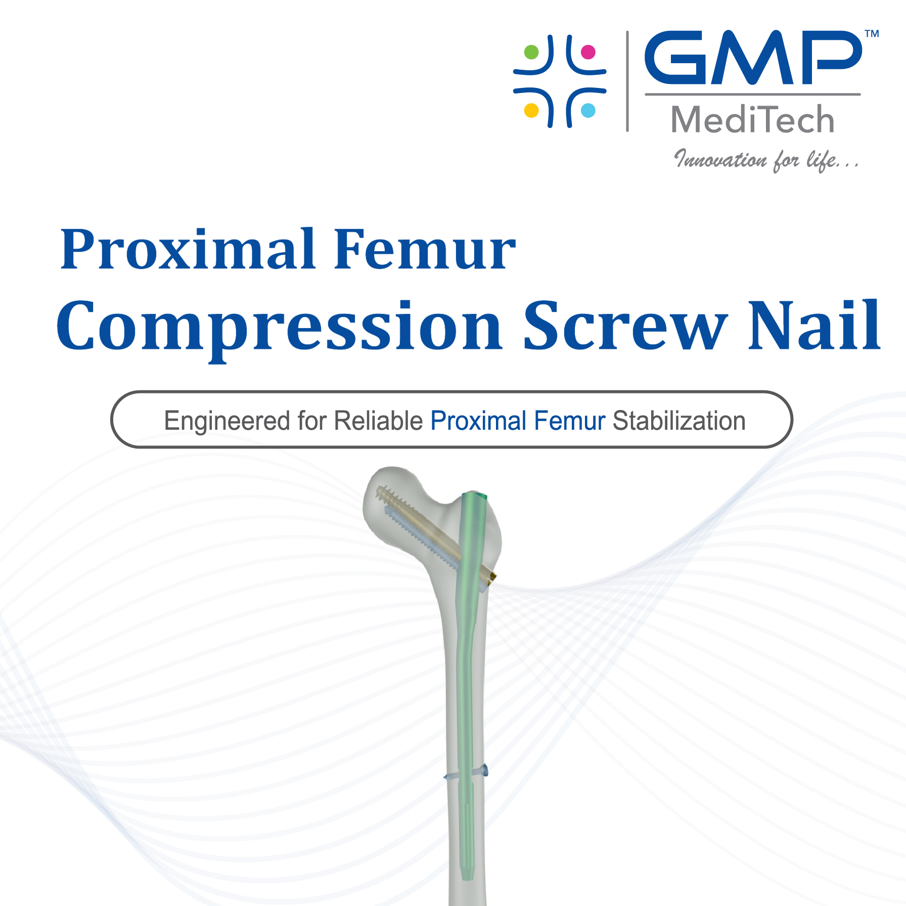 Proximal Femur Compression Screw Nail