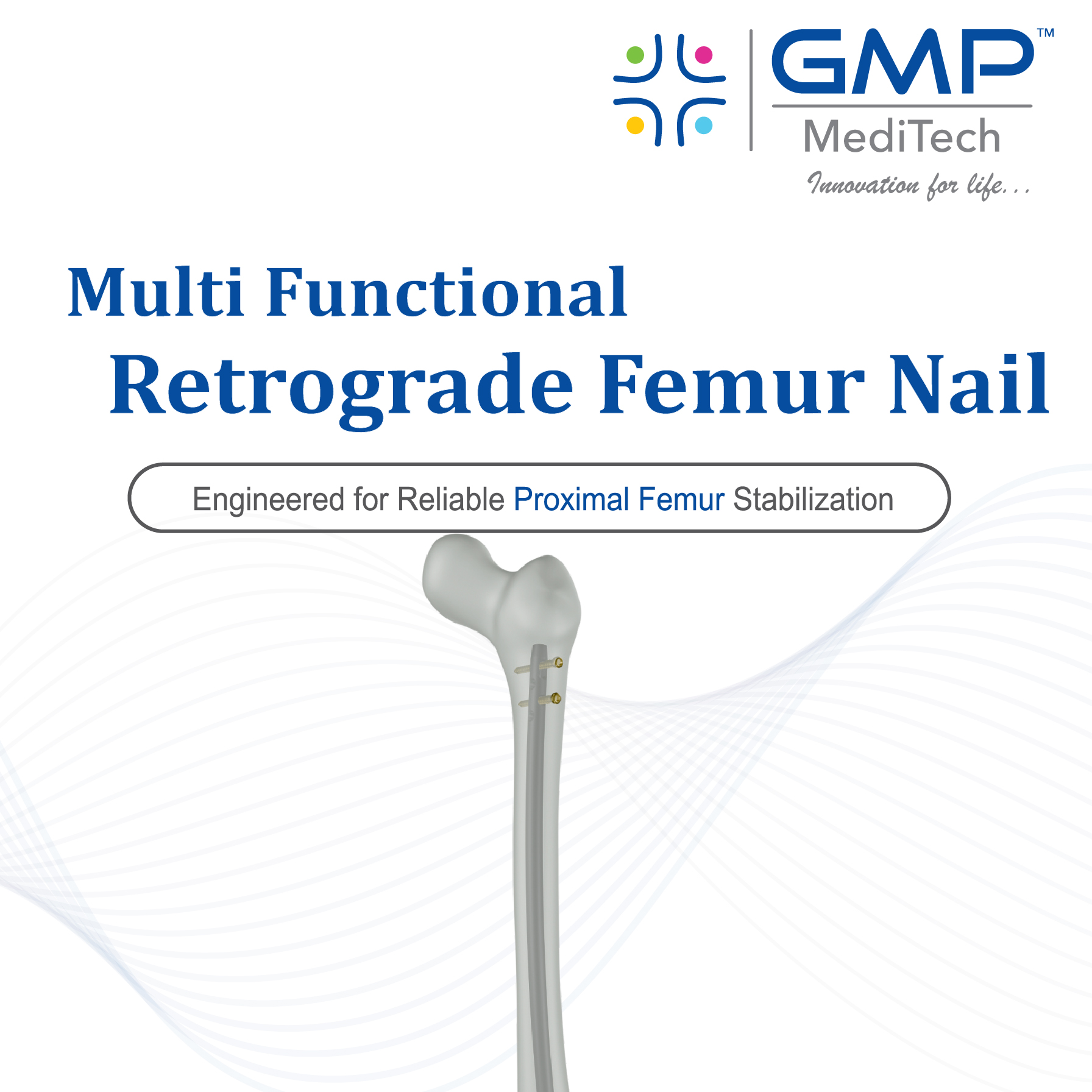 Multi Functional Retrograde Femur Nail